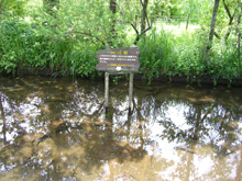 箱根湿生花園