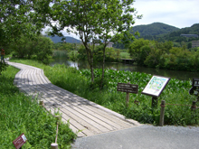 箱根湿生花園