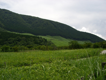 箱根湿生花園
