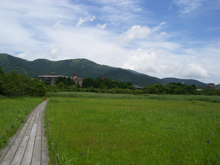 箱根湿生花園