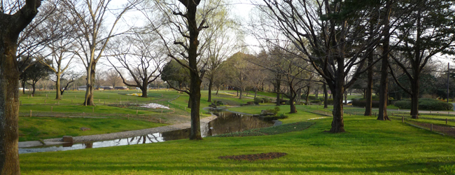 昭和記念公園