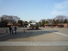 昭和記念公園