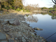 昭和記念公園