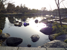 昭和記念公園