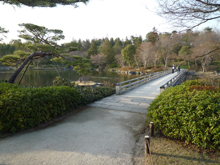 昭和記念公園