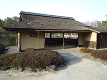 昭和記念公園