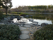 昭和記念公園
