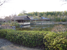 昭和記念公園