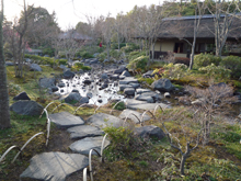 昭和記念公園