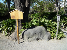旧安田庭園