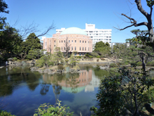 旧安田庭園