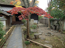 安養院庭園