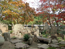 安養院庭園