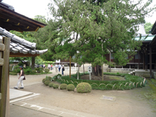 円覚寺