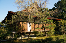 普門寺