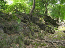 旧古河庭園