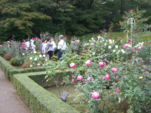 旧古河庭園