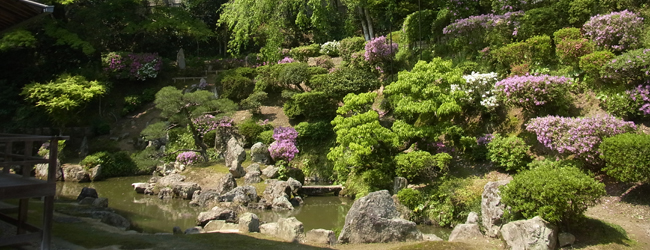 医光寺庭園