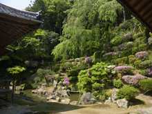 医光寺庭園
