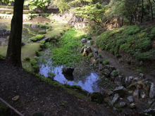 常栄寺庭園