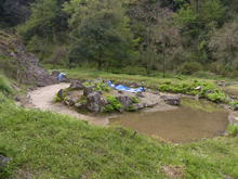 常徳寺庭園