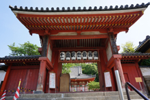浄土寺庭園