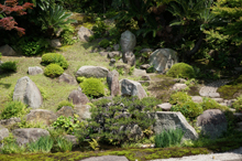 浄土寺庭園