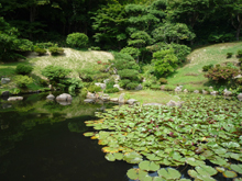 観音院庭園