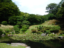 観音院庭園