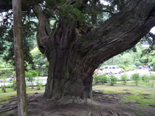 建長寺
