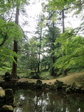 北畠氏館跡庭園