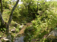 毛利氏庭園