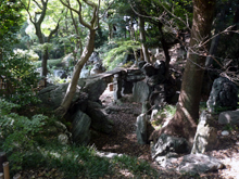 名古屋城二ノ丸庭園