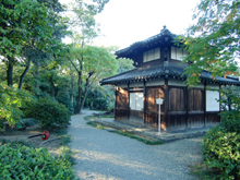 南宗寺
