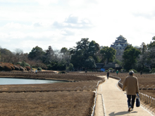 岡山後楽園
