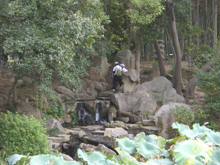 岡山後楽園