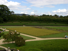 岡山後楽園