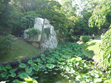 岡山後楽園