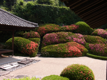 頼久寺庭園