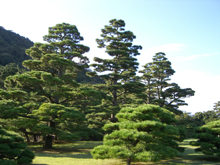 栗林公園