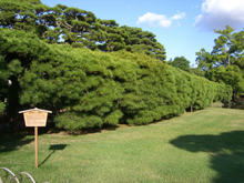 栗林公園