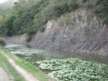 栗林公園