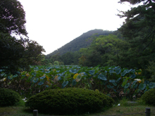 栗林公園