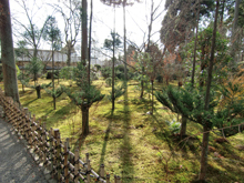 龍安寺庭園