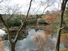 龍安寺庭園