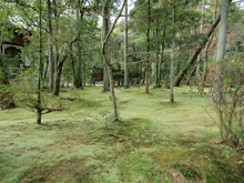 龍安寺庭園