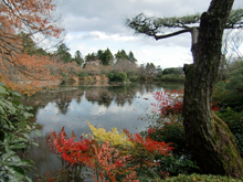 龍安寺庭園