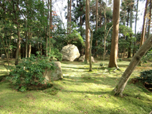 龍安寺庭園