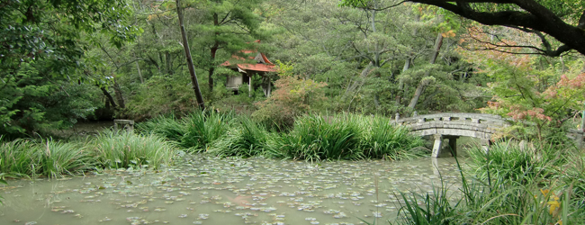 龍泉寺