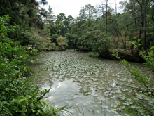 龍泉寺